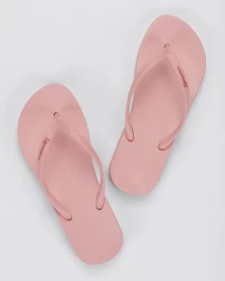 Anatomic Pink/Light Pink