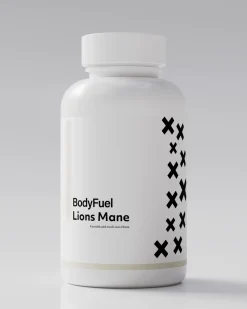 Lion’s Mane 90x500mg (3-pack)